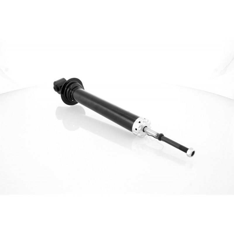 LEXUS IS SHOCK ABSORBER Rear